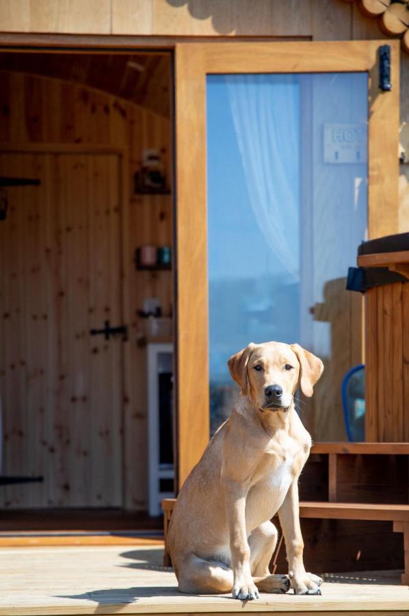 Villa Barnhorn Glamping Hooe Exterior foto